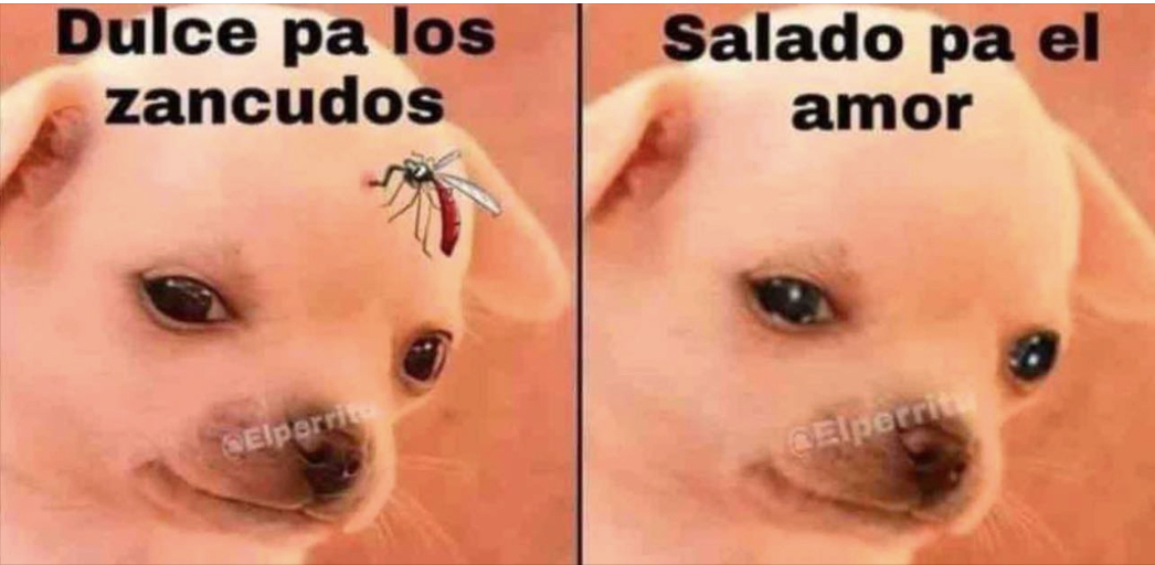 Guarromantico_'s tweet image. Asies.