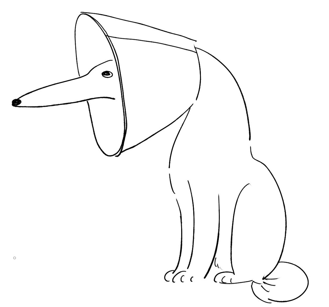 george_10g's tweet image. 🐕‍🦺