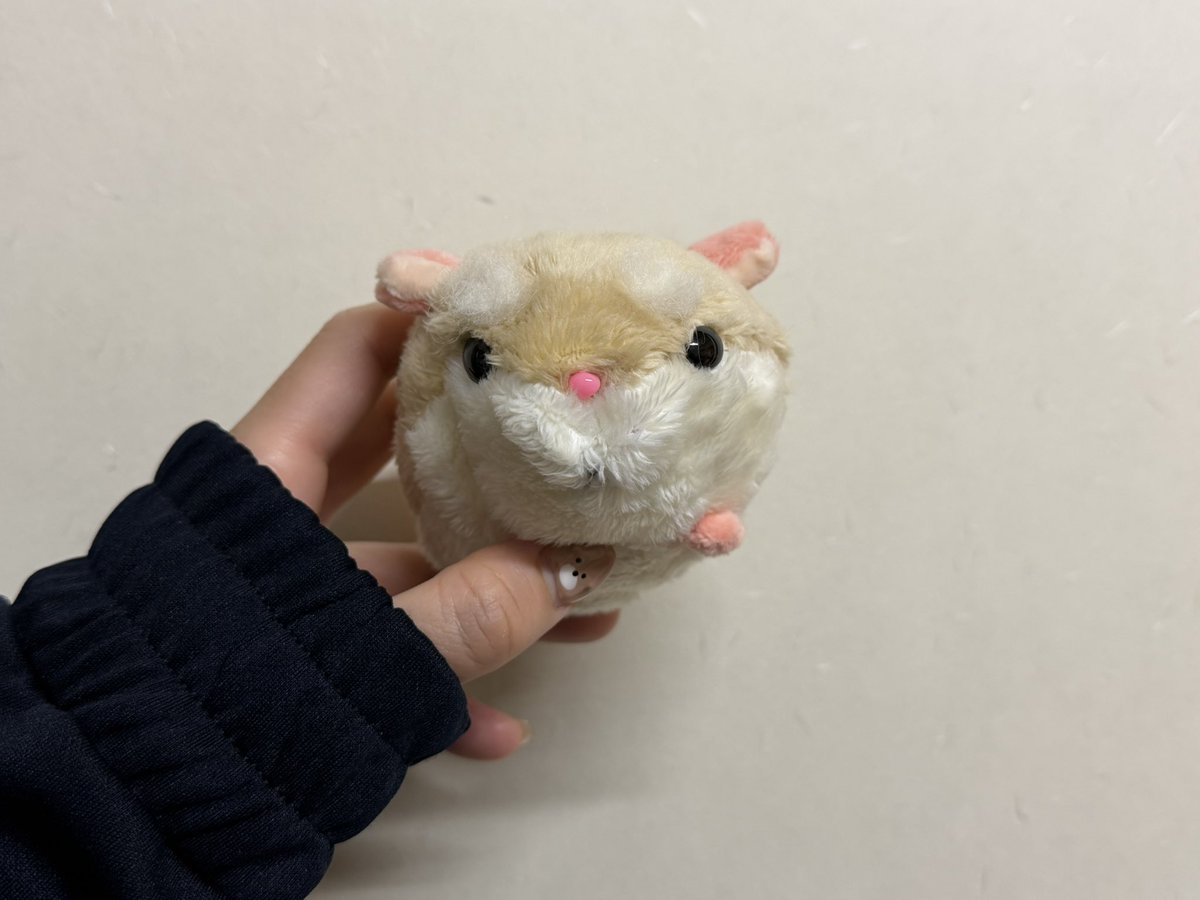 【求】手芸自信ネキ
マカロニの眉毛どうしたら良いと思いますか、、、？縫う？貼る？？
羊毛フェルトの余りつけてみたけど、持ち歩いたり洗ったりしたいし、耐久性なさそうやし無しかな、、、