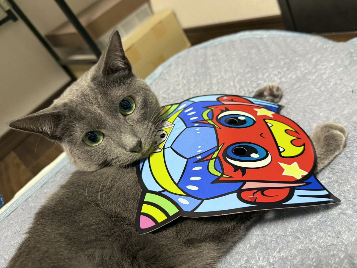 ミチル (@dora0903) / Posts / X