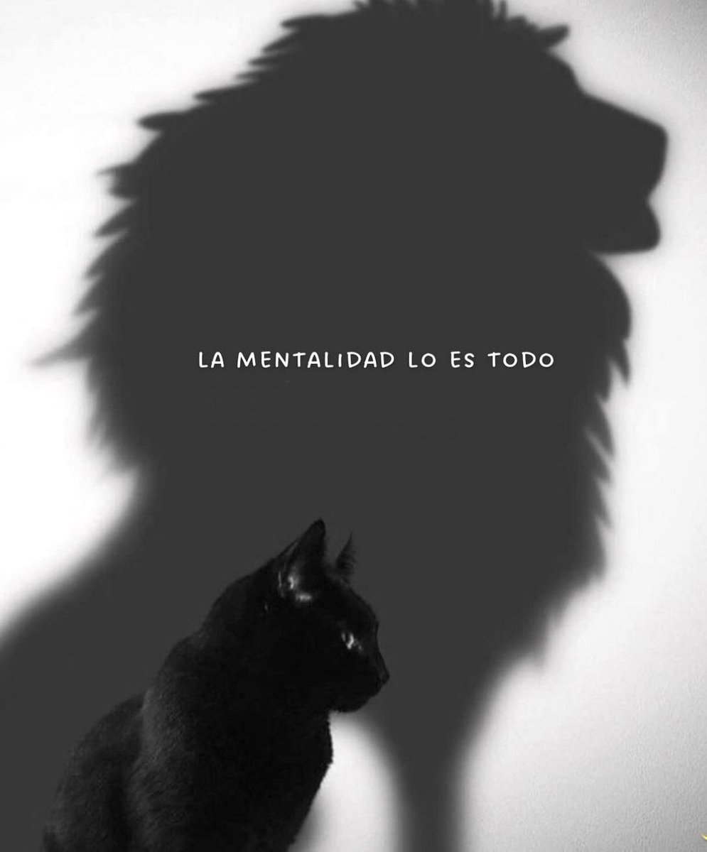 Disciplina (@eligedisciplina) on Twitter photo 