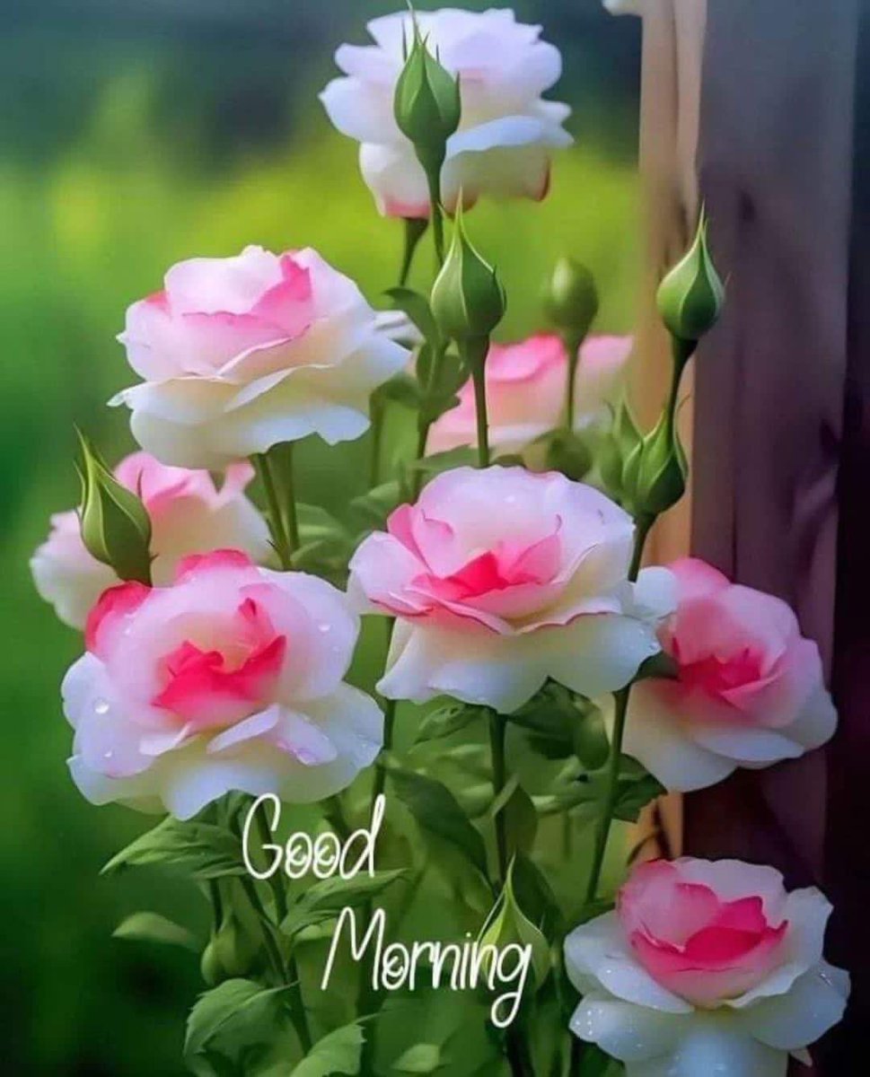 SUBA SRI tweet media