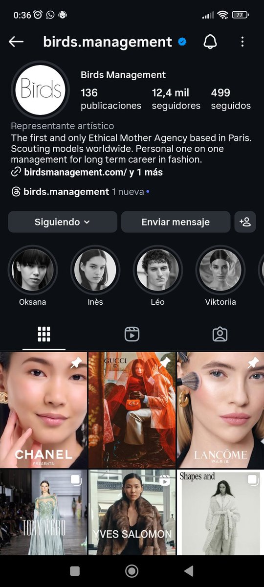 Nymeria ✨ tweet media