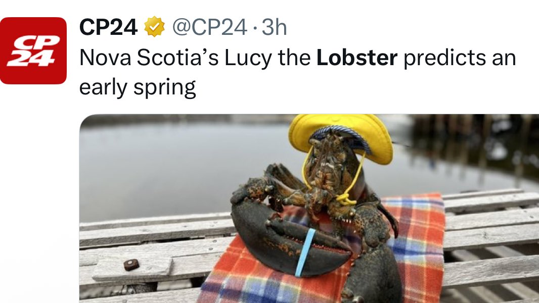 katie tweet media