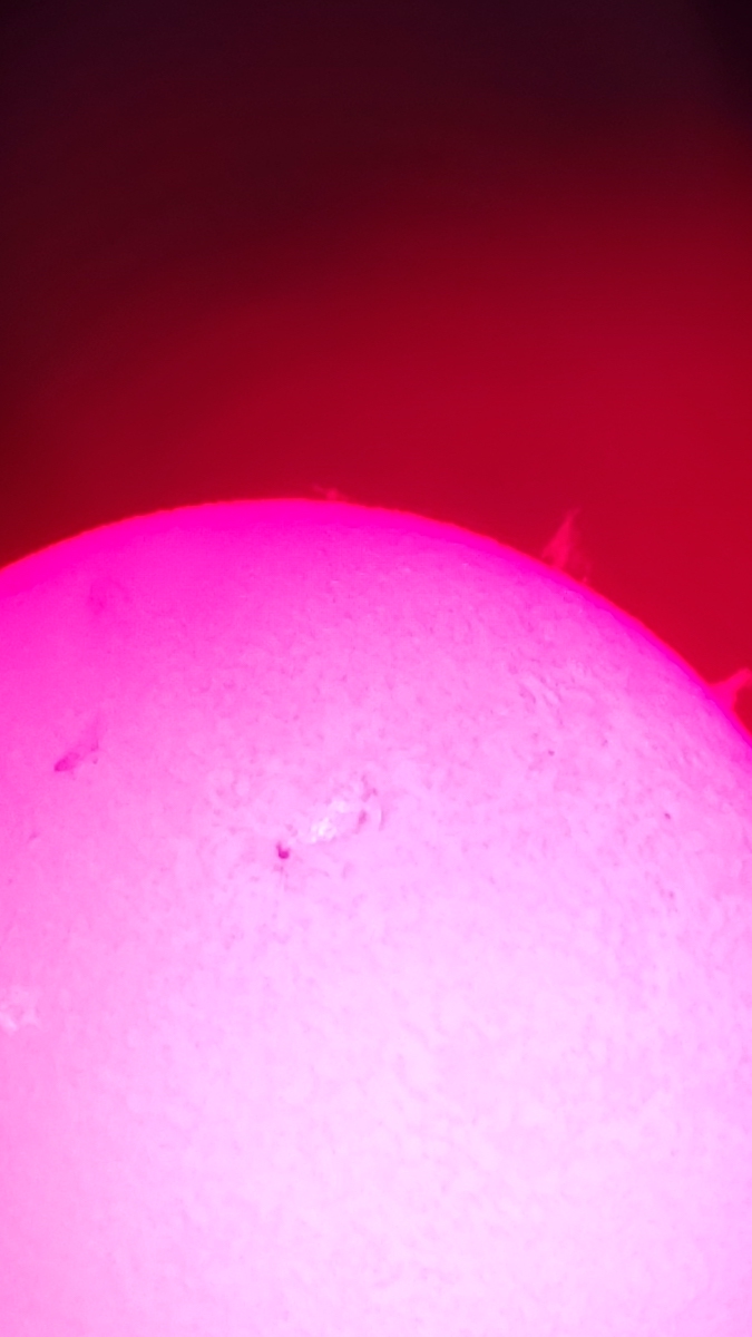 快晴で暖かく太陽観察日和です。
今日の太陽はプラージュや黒点、ループしたプロミネンスなど見どころ満載です。
スマホではうまく写せないのが残念。お近くの方、ぜひ覗きに来てください。