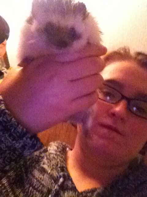 Zelphiamoth tweet media