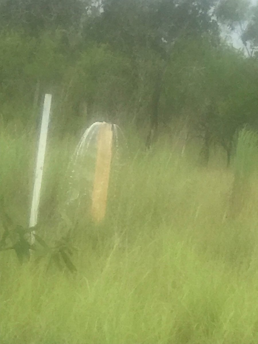 MattBrannRURAL's tweet image. Bores are overflowing in Darwin's rural area!

#Moist

abc.net.au/listen/program…