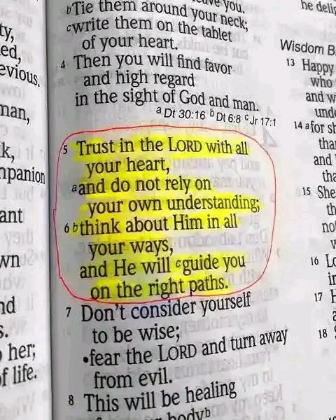 Bible 365 tweet media