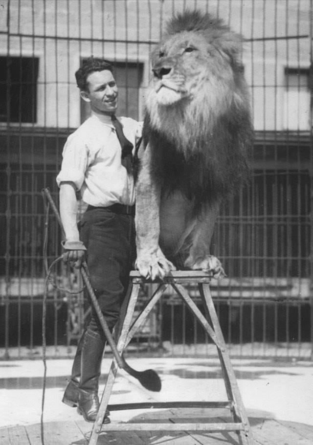 Assalam Walaikum 
Good Morning X Mates 

*जो भी बनना है अपने दम पर बनो,* 
*नहीं तो तुम दूसरों के दम पर* 
*शेर तो बन जाओगे* 
*लेकिन जंगल वाले नहीं, सर्कस वाले...*