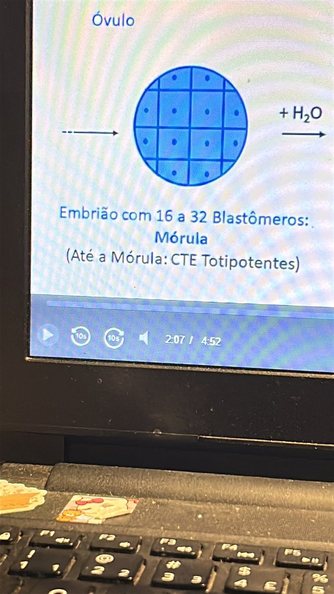 thenaestudos's tweet image. literalmente 2 minutos de aula do landim .