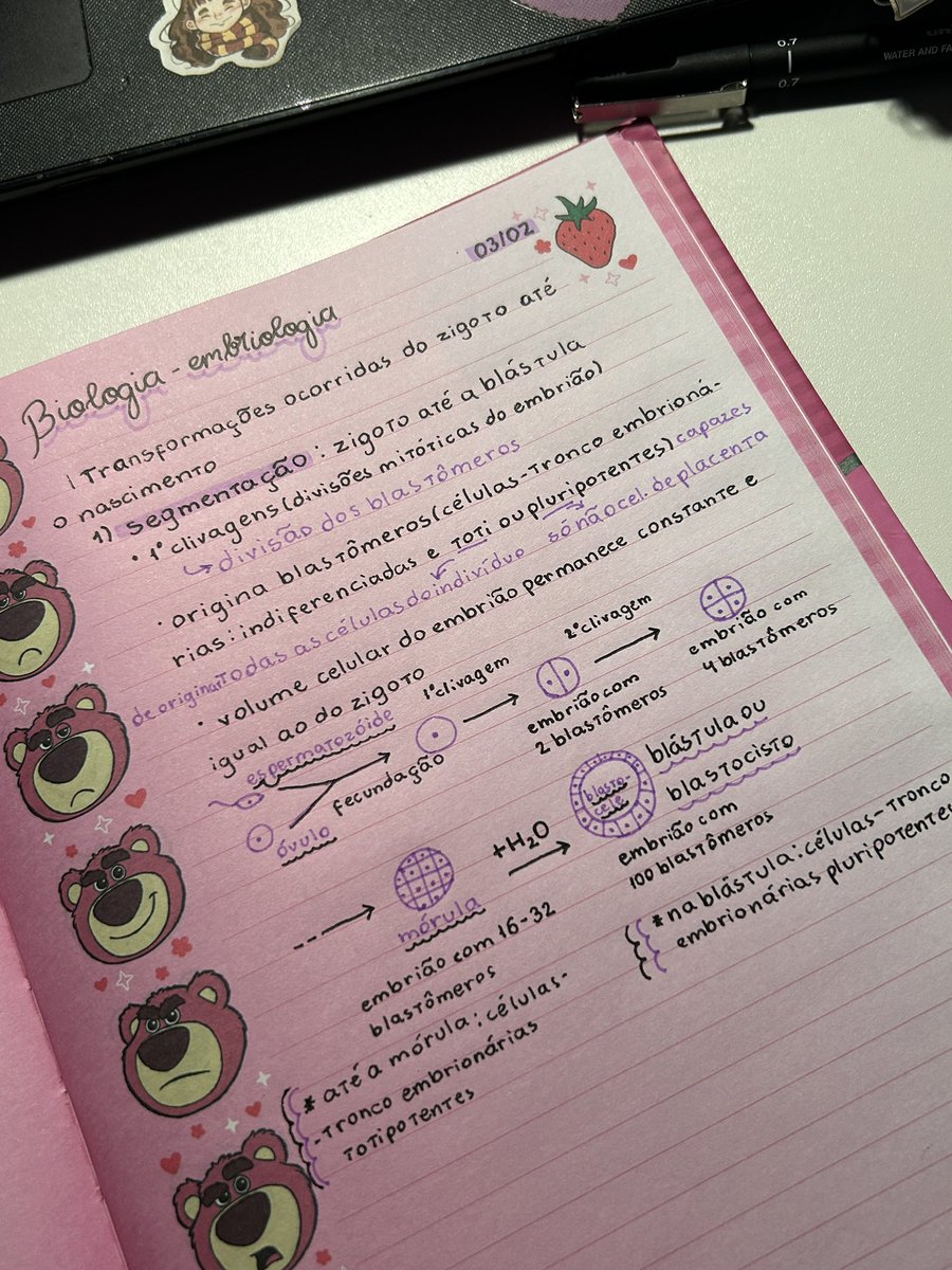 thenaestudos's tweet image. literalmente 2 minutos de aula do landim .