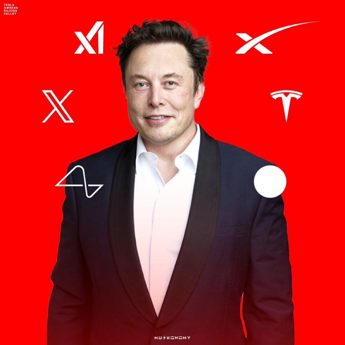 Tesla Owners Silicon Valley tweet media