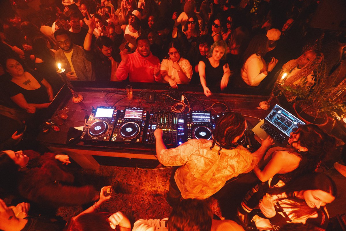 Dom Chronicles tweet media