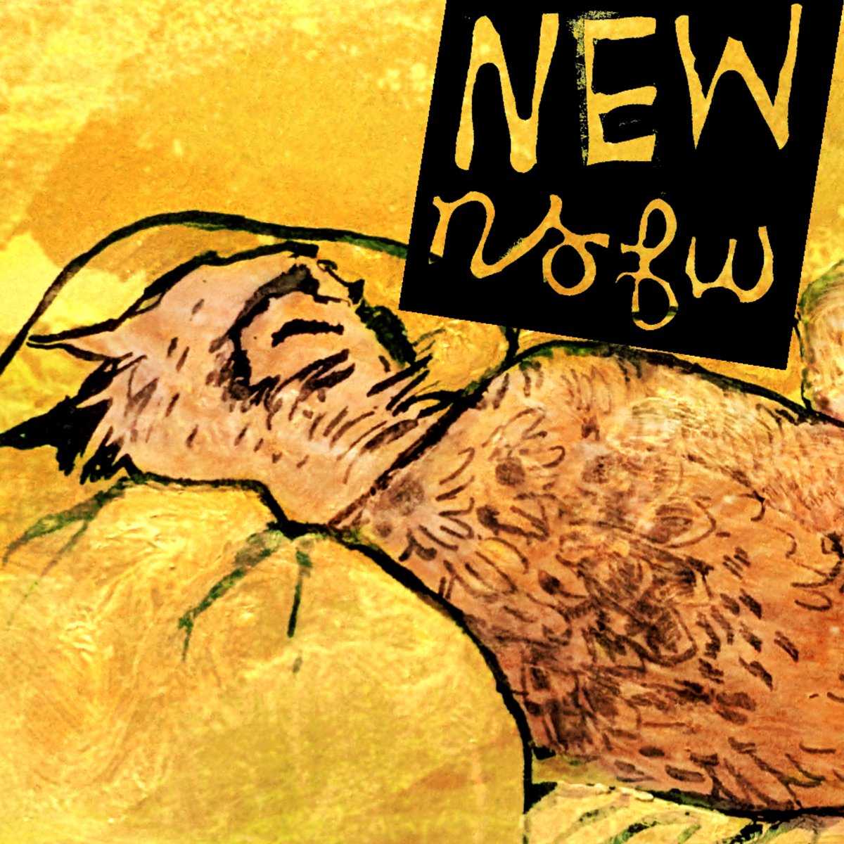 BIRBLYFE🇵🇸🇨🇩🇸🇩 tweet media