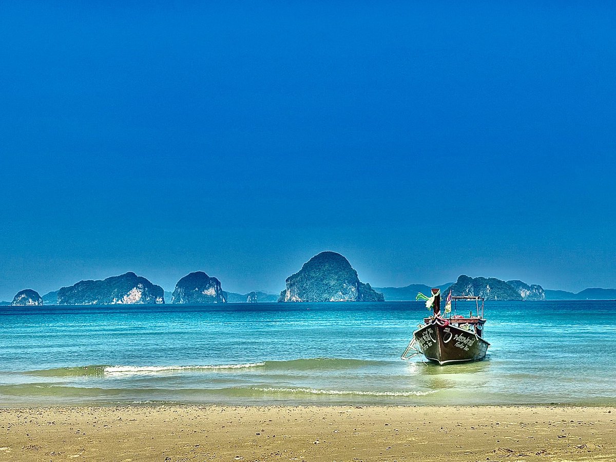 CryptoFerret tweet media