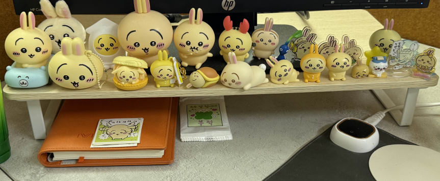 우사기 군단 돌진!!!