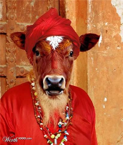 ؏ﺒداﻟﻠﮫ ڄﺒران♿️🇸🇦 tweet media