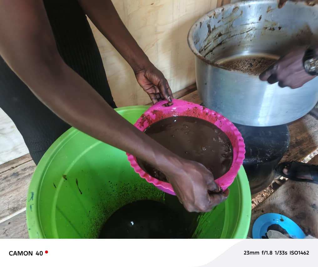 tsevett7776's tweet photo. Empowering Tsevett Agroservices farmers with IMO for sustainable agriculture! 🌟 Harnessing nature's power to address challenges &amp; boost production. #SustainableAg #IMO #NatureBasedSolutions
@Y4Cofficial https://t.co/c9gNcq2mQZ