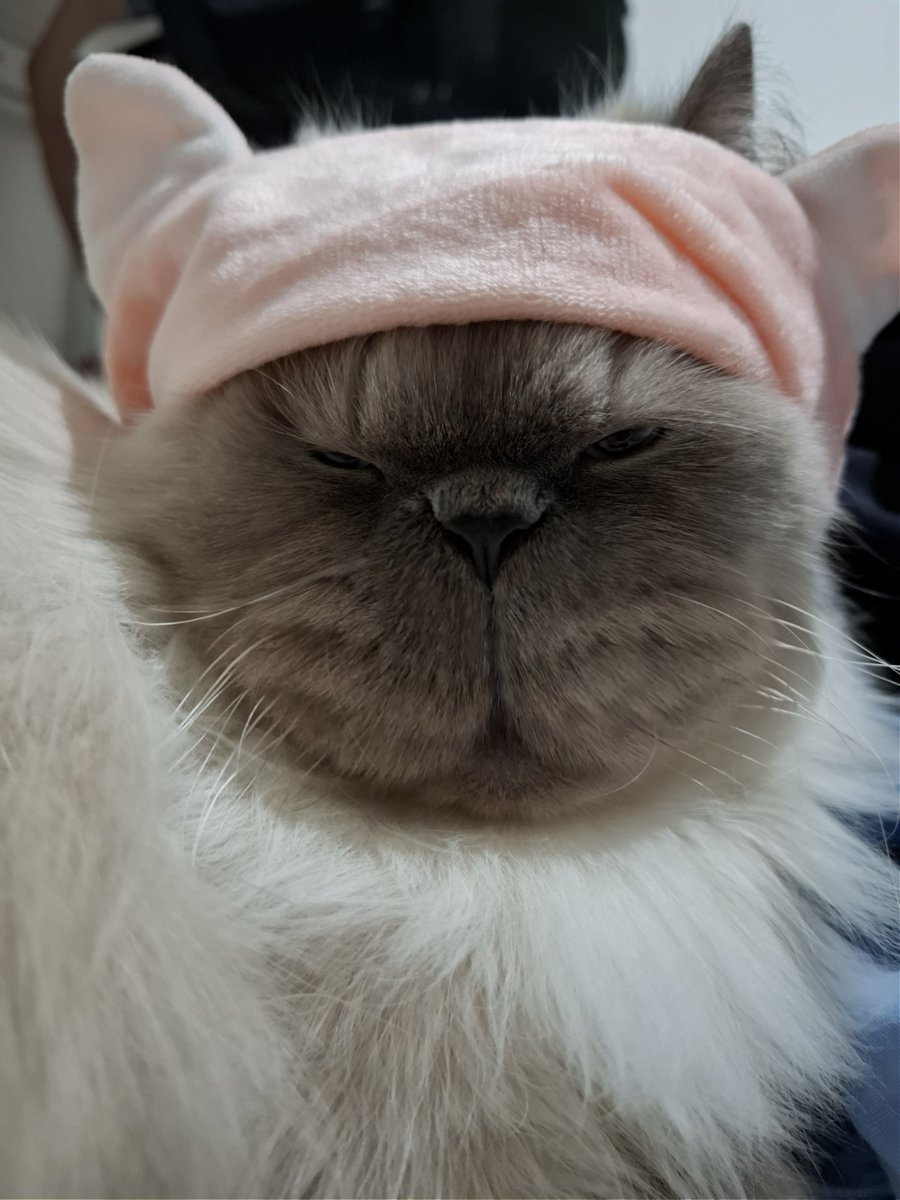 supepeng tweet media