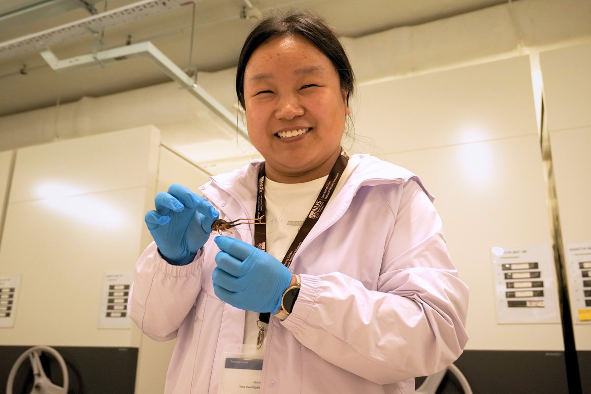 Lee Kong Chian Natural History Museum tweet media