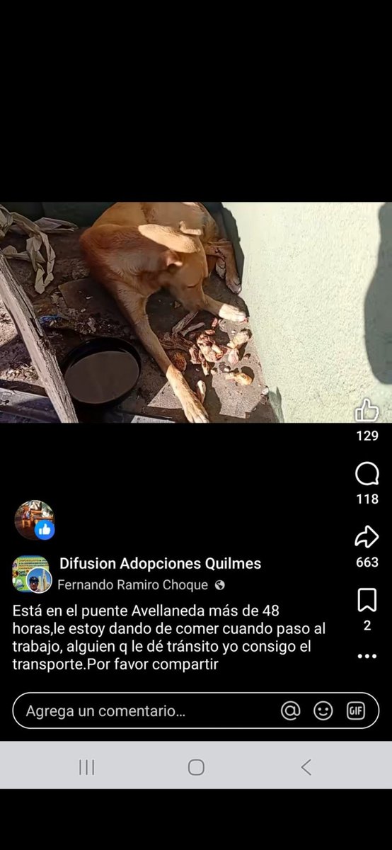 Maria Ines tweet media