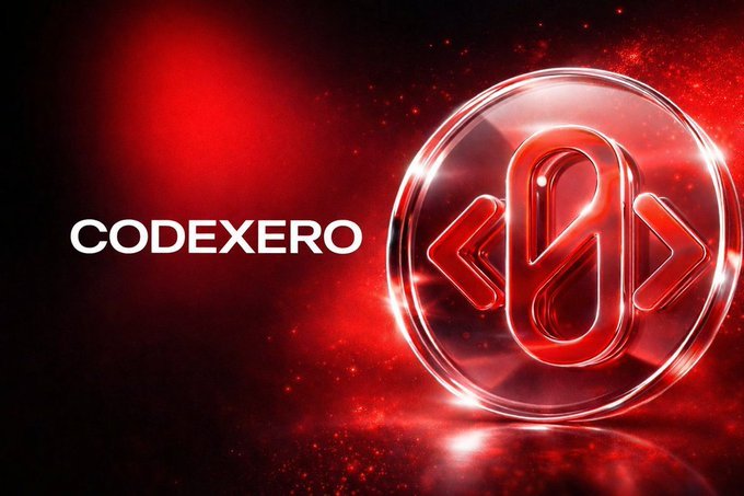 WinCryptos_'s tweet image. GM Everyone ❤️

Some projects talk about potential.
@CodeXero_xyz quietly turns potential into action.

It’s not about flashy tools or buzz.
It’s about giving creators a system where every small decision matters, and every action compounds.

You start with a simple idea.
The…