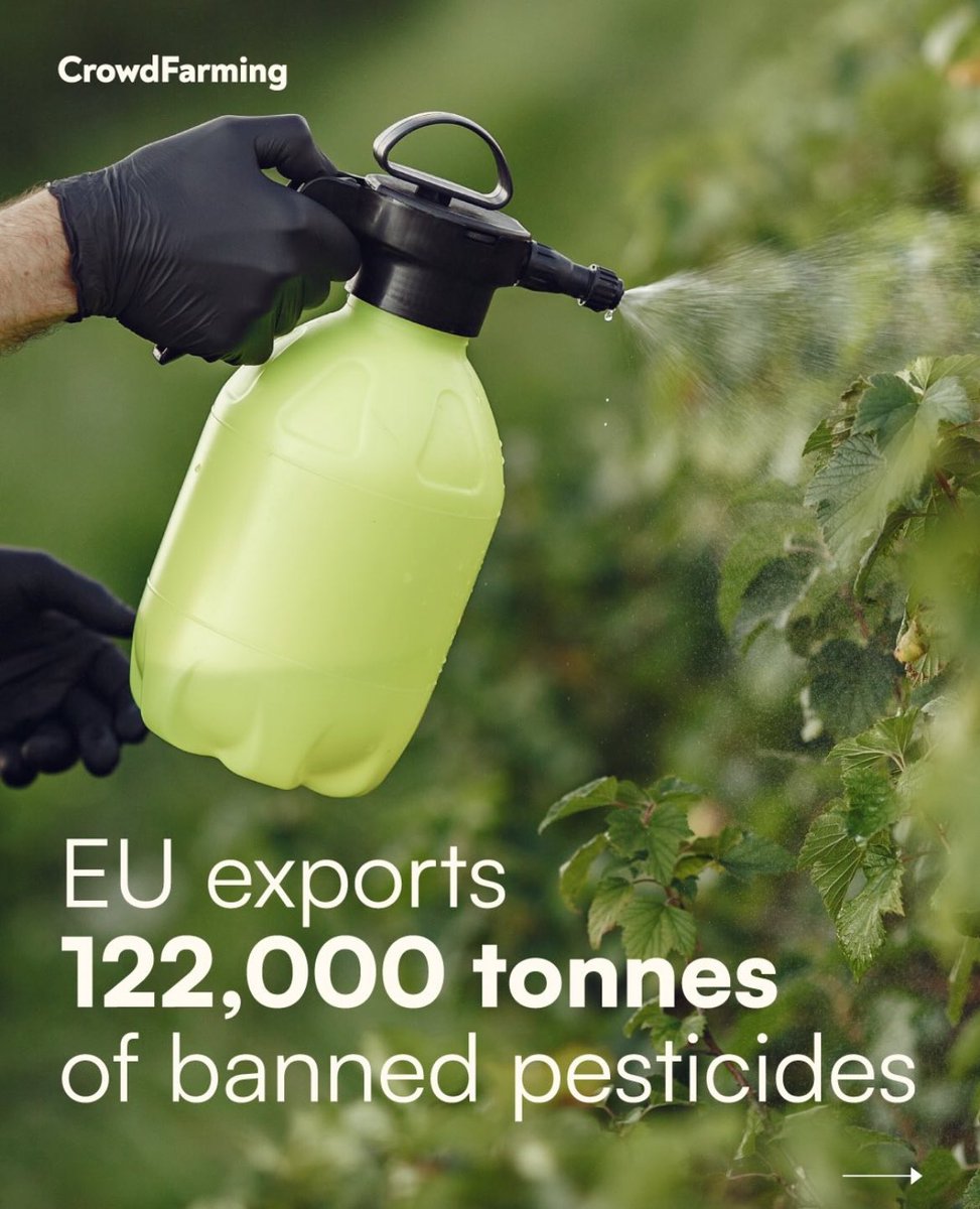 And after that ”we” import the spray’d vegetables to people ”Can’t afford’em eco Ones”, cynical isn’t 🐝