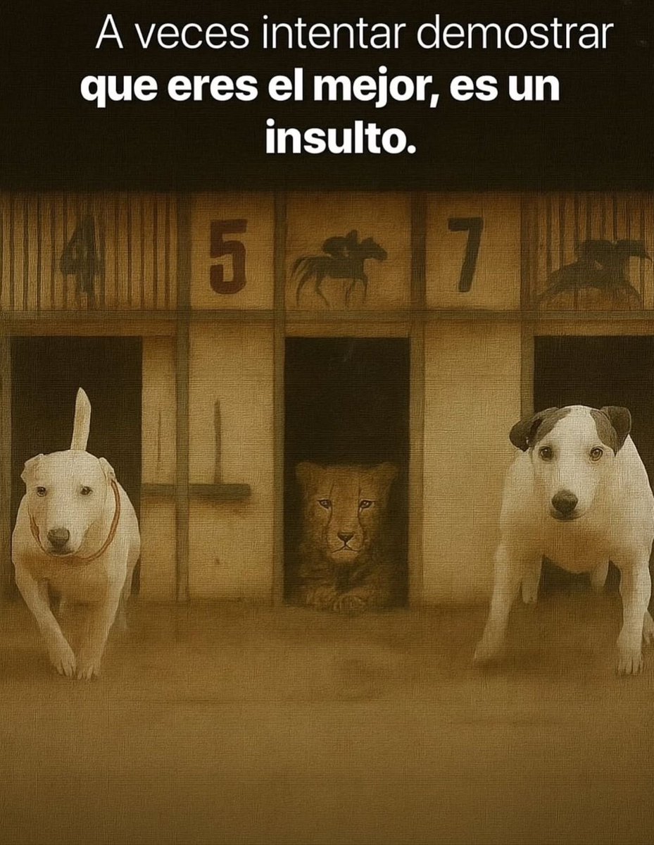 Disciplina (@eligedisciplina) on Twitter photo 