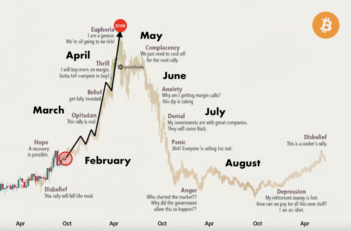 0xChiefy's tweet image. 2026 Bull Run Schedule:

February: Bear Trap
March: Bitcoin Rally
April: Altseason
May: Bitcoin ATH ($215K)
June: Bull Trap
July: Forced Liquidations
August: Bear Market

Bookmark this and compare in 6 months 🔖