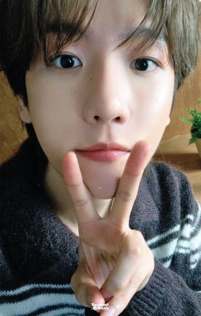 백현시🤍🐘🖤