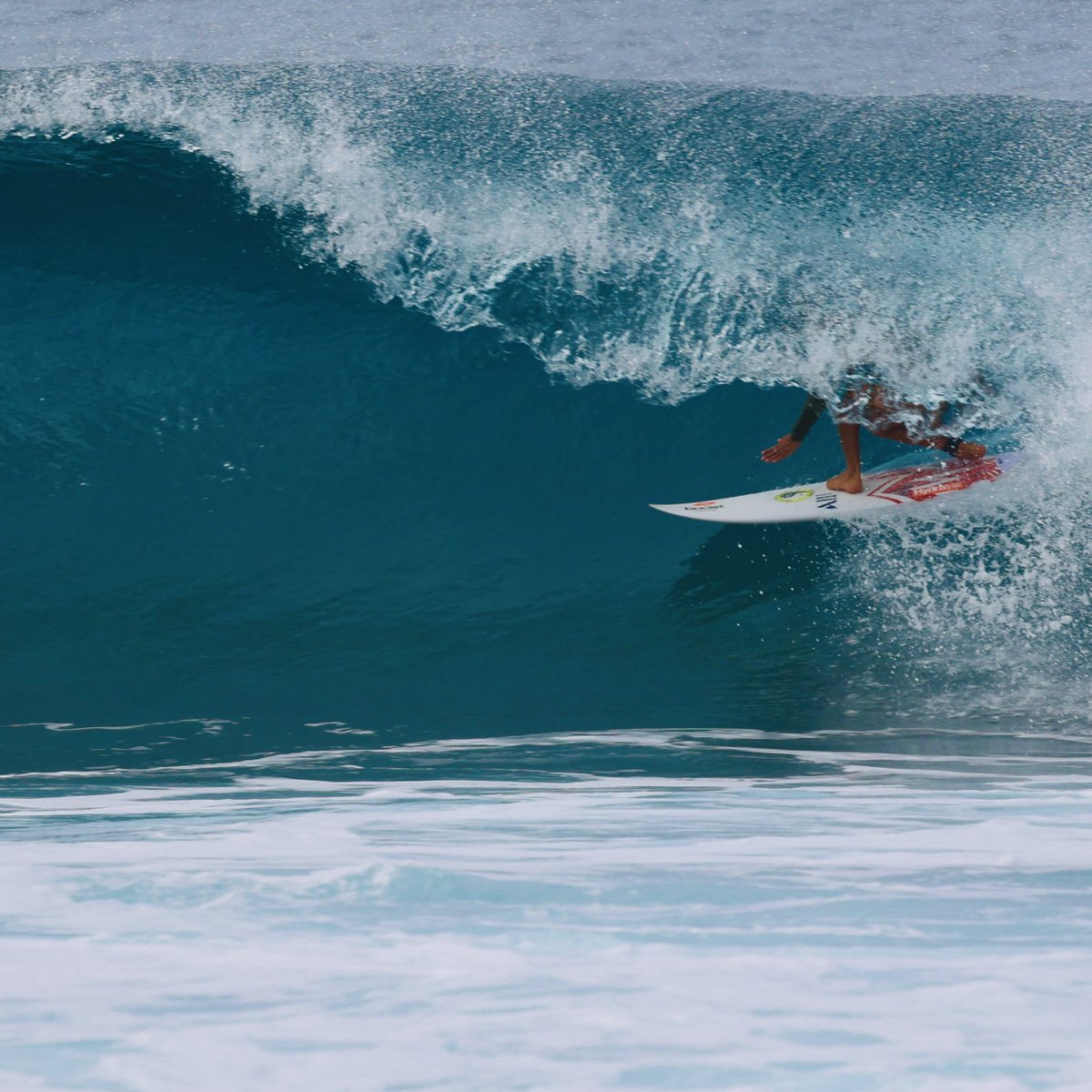 Sally Fitzgibbons tweet media