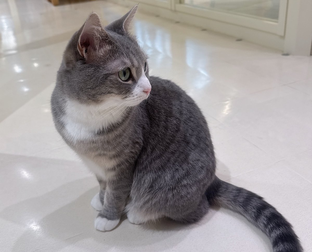 ややぴ⋆͛🎮⋆͛‎🤍 (@yayapi_twitch) / Posts / X