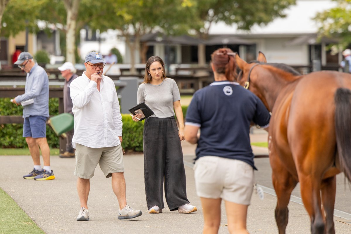 Mullaglass Stud tweet media