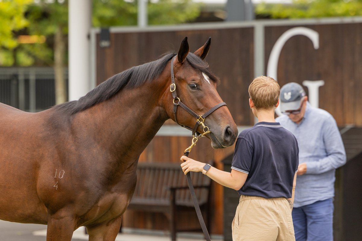 Mullaglass Stud tweet media