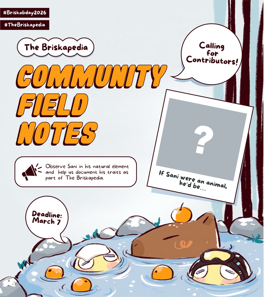 briskadet projects tweet media