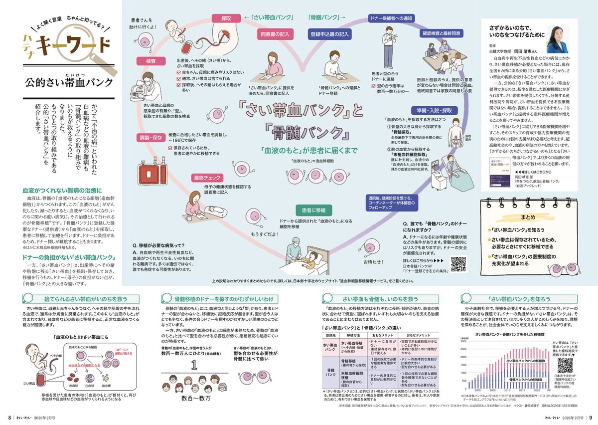 ericotoyooka's tweet photo. \ WORK / 

パルシステム東京の機関誌『わいわい』2月号のキーワードページ「公的さい帯血バンク」でイラストを担当しました！

  #パルシステム東京 #イラスト #イラ通 https://t.co/LCYSRLgENb