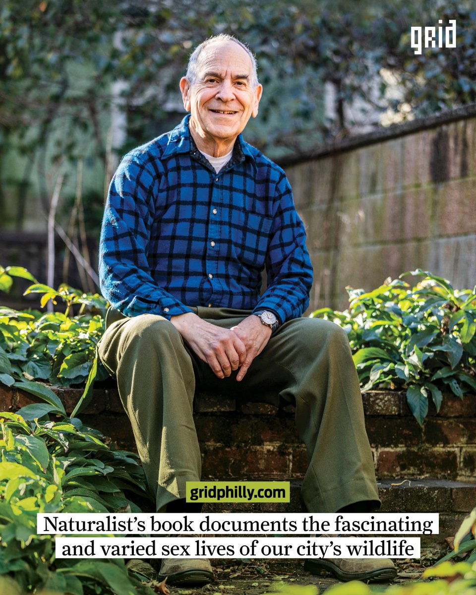 gridphilly tweet media