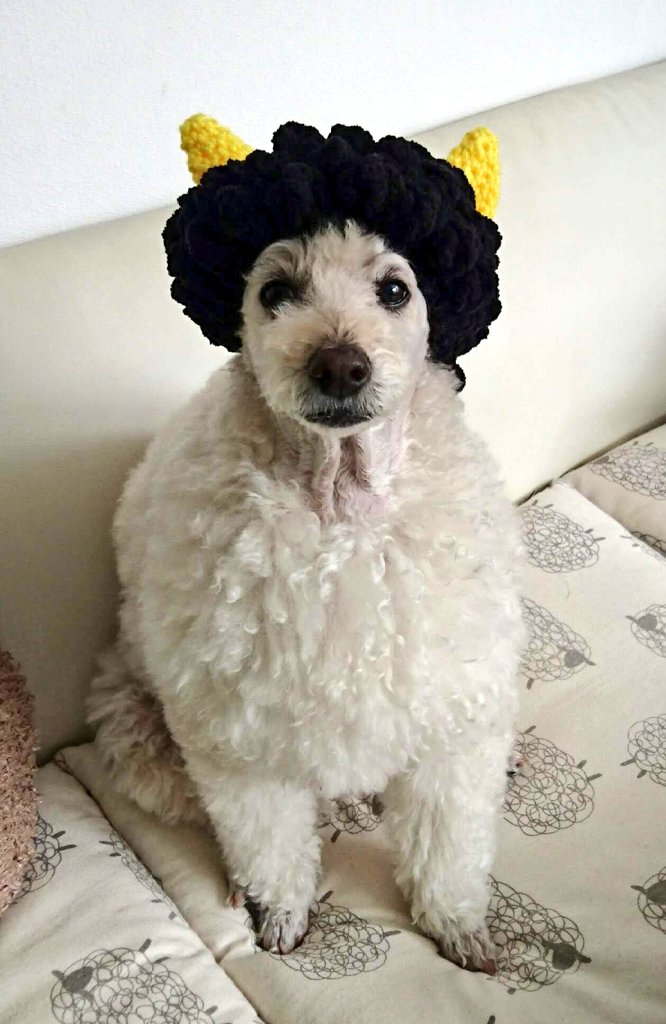 あちゃこ (@anzuko818) / Posts / X