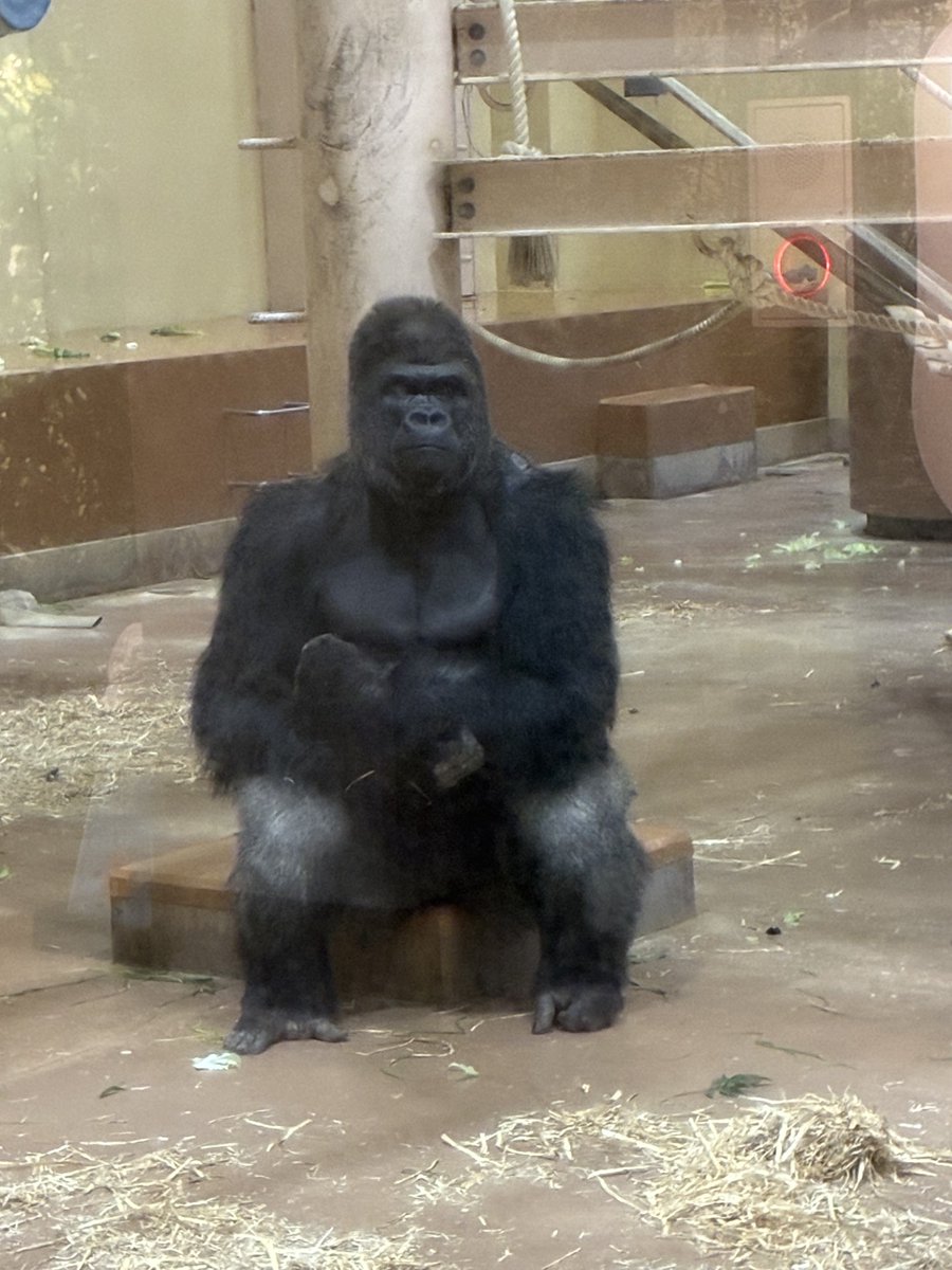 お疲れ様です！ 本日も横浜は晴れ。 先日、東山動物園で話題のイケメン