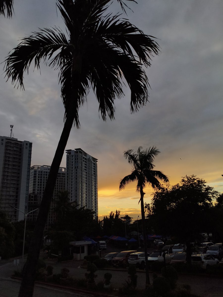 Kerr 🥑🧷 tweet media