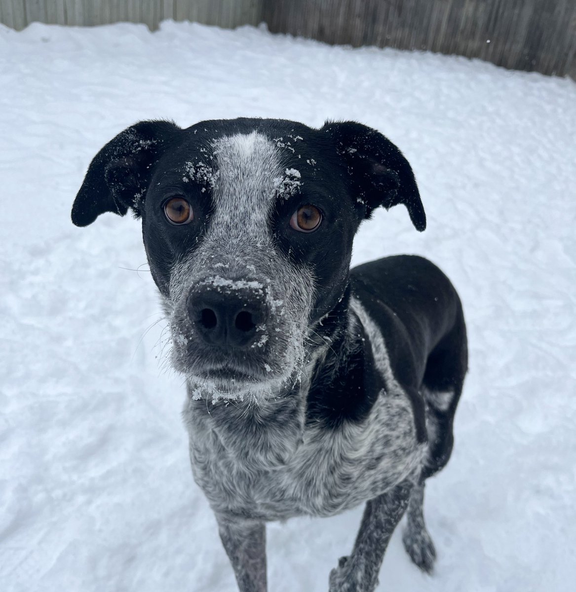 Anthony Spencer tweet media