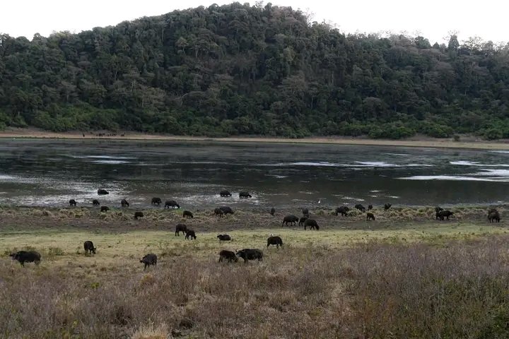 Environmentalist Lokitambaa Andrew tweet media