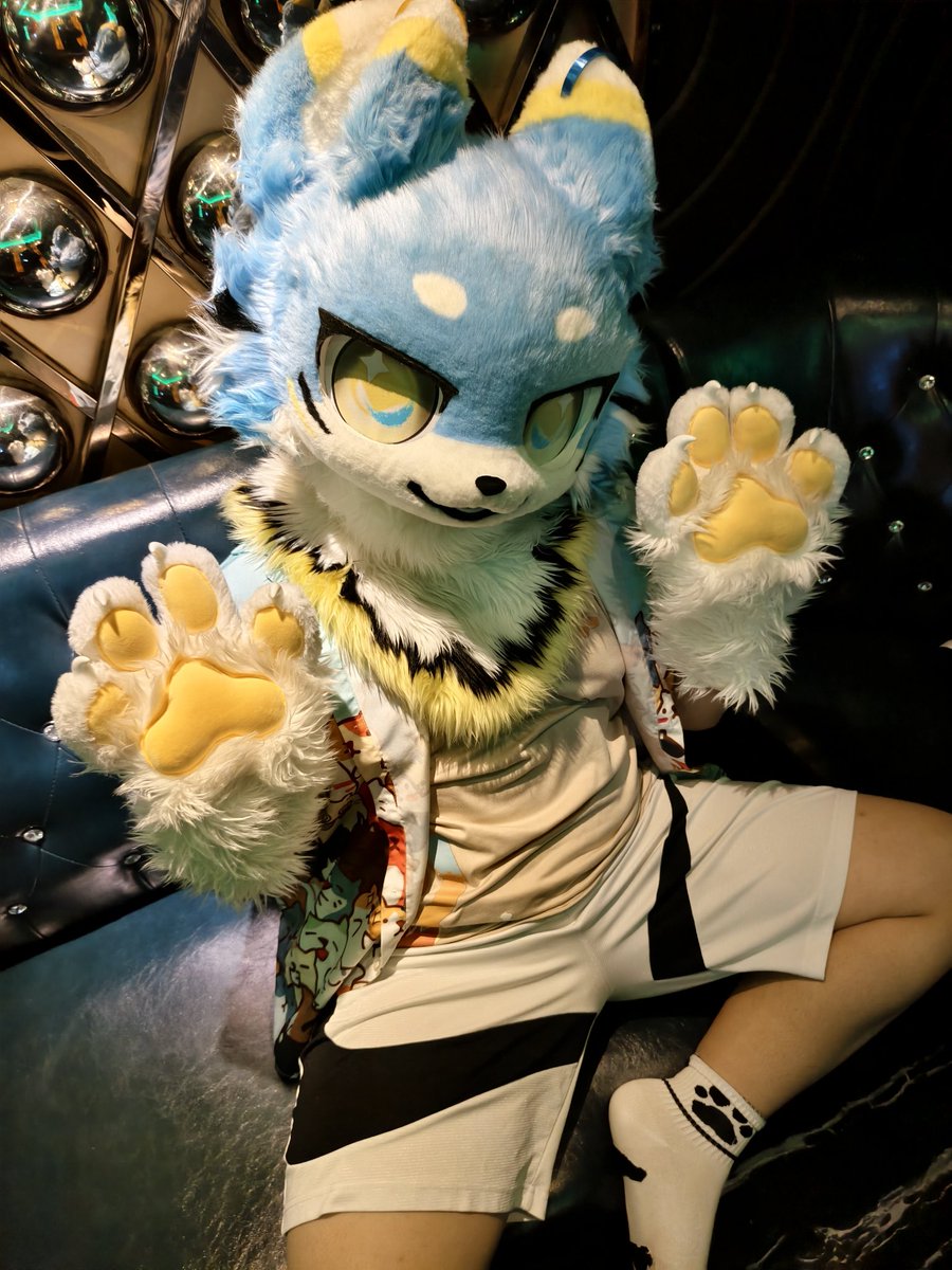 霜痕 tweet media