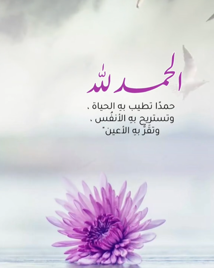 فهلوي | Fhlwy tweet media
