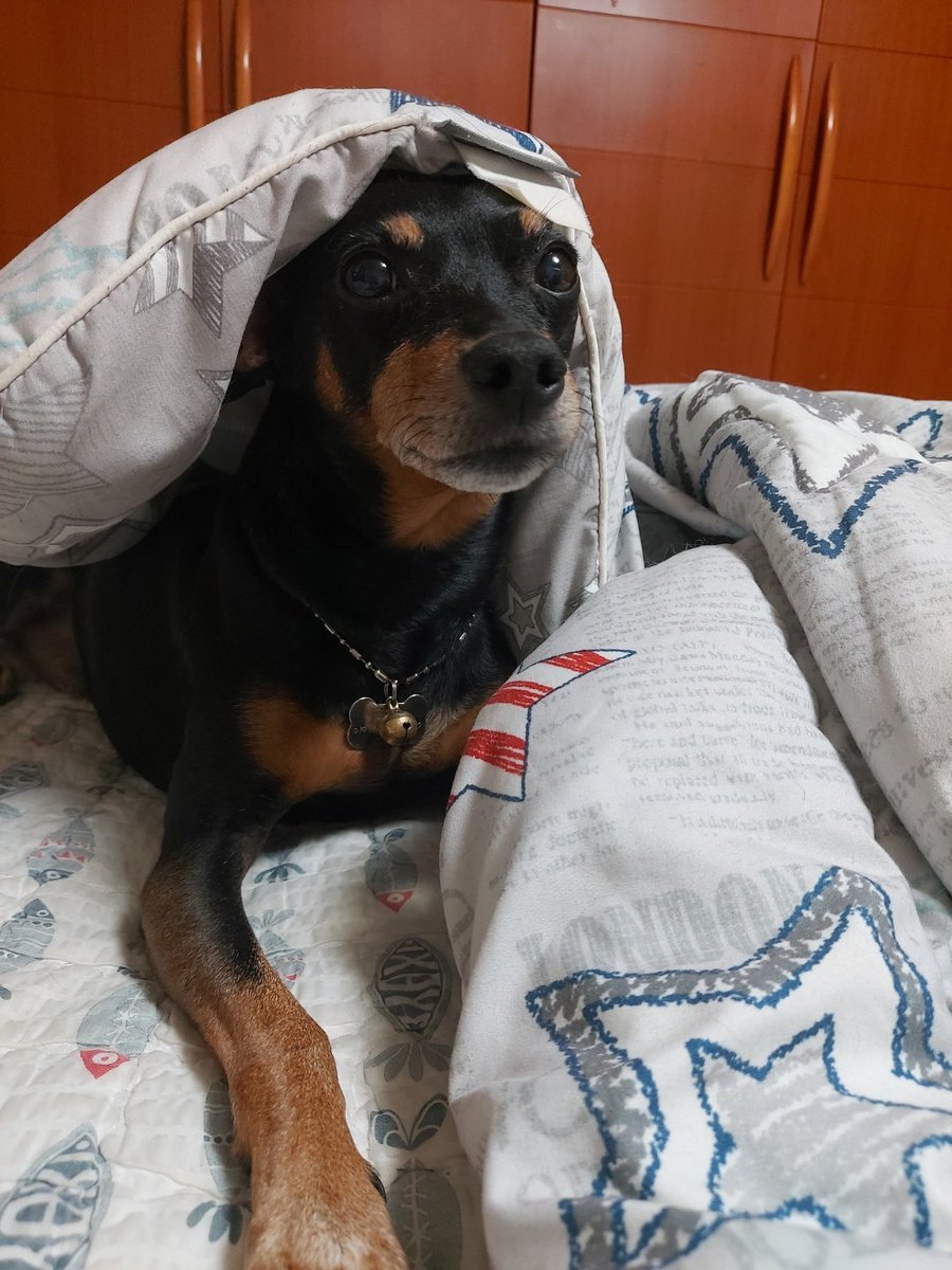 이동열 LEE DONGYEOL tweet media