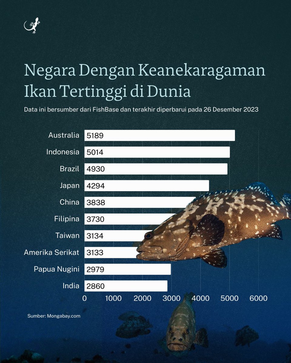 Mongabay Indonesia tweet media