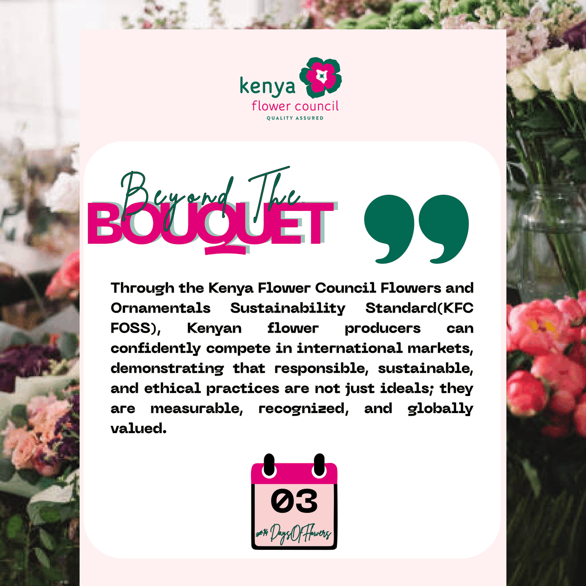 kenyaflower's tweet photo. Kenya Flower Council's #FOSS standard ensures flowers are grown sustainably, ethically, and responsibly. Recognized by SSCI &amp; SANAS, #FOSS proves Kenyan blooms are beautiful, trusted, and ready for global markets.

#BeyondTheBouquet #SustainablyGrownLocallyCertified https://t.co/TtLU6LpUG3