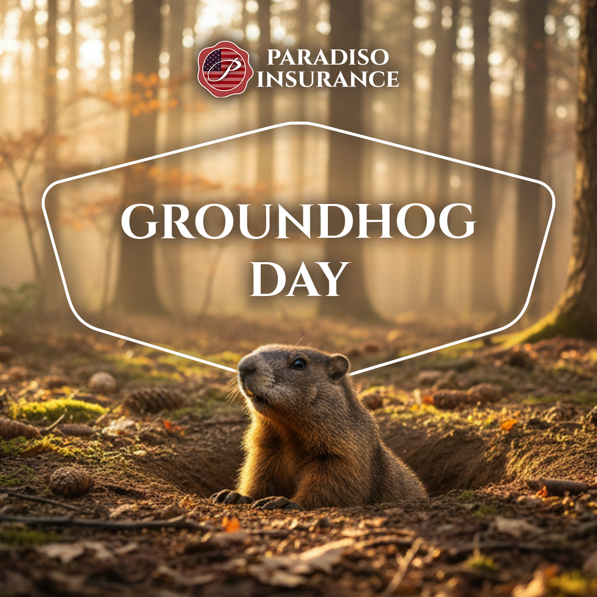 paradisoins's tweet image. One groundhog, one shadow, and somehow our winter fate is decided. Shadow or no shadow, we’re still showing up and planning ahead. Here’s hoping for an early spring.
#ParadisoInsurance #groundhogday #wintervibes #newenglandlife #planningahead