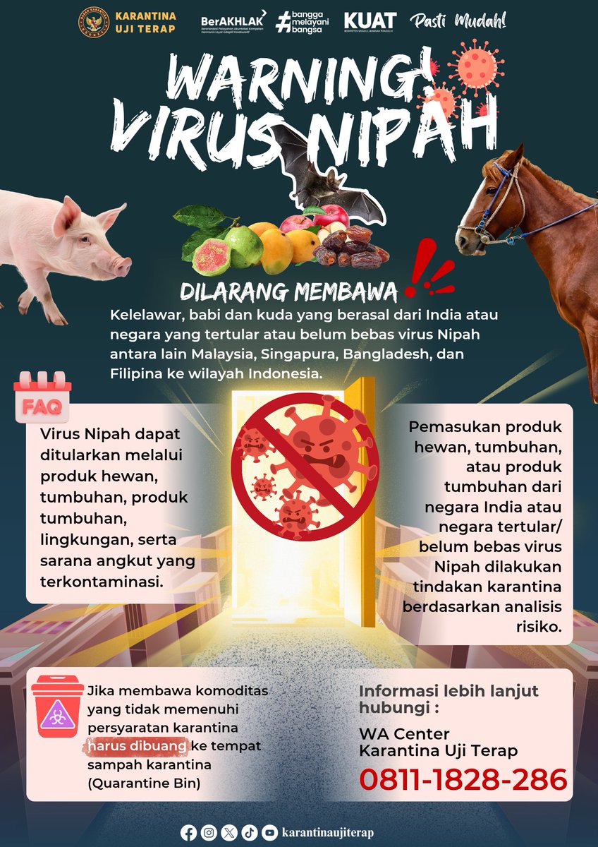 WASPADA VIRUS NIPAH! 🦇🐷🐎

SobatQ harap perhatikan aturan ini ya!

Ingat, mencegah lebih baik daripada mengobati. Pastikan komoditas masuk sesuai syarat dan ketentuan yang berlaku. 

Hubungi WA Center Karantina Uji Terap: 0811-1828-286

#LaporKarantina #VirusNipah