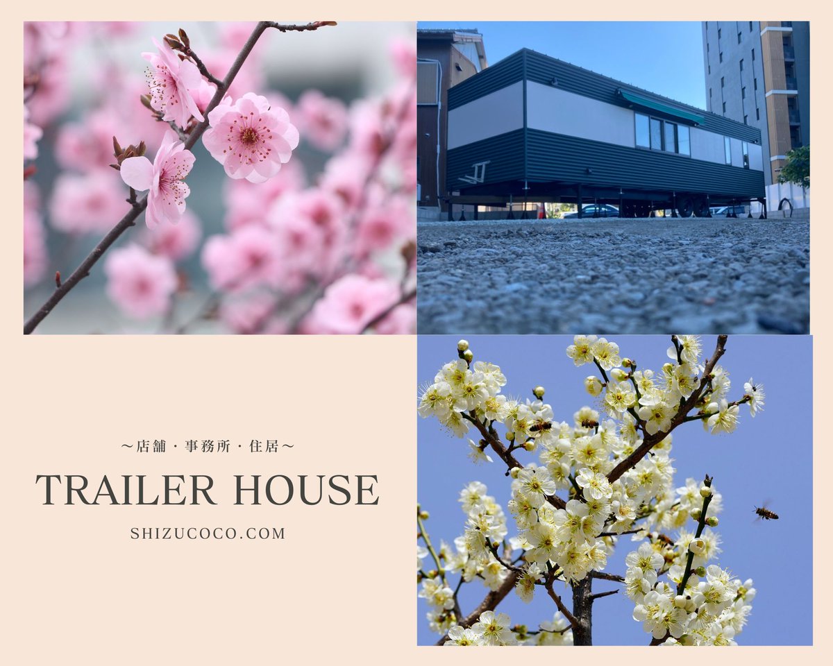 2月4日（水） おはようございます。 水曜日もよろしくお願いします